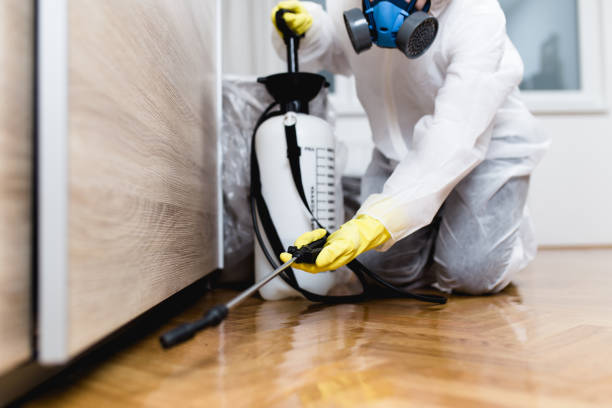 Best Local Pest Control Services  in Creve Coeur, IL