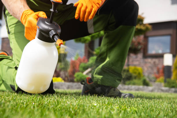 Best Pest Prevention Services  in Creve Coeur, IL